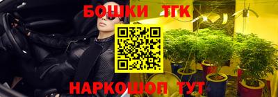 сатива Гагарин