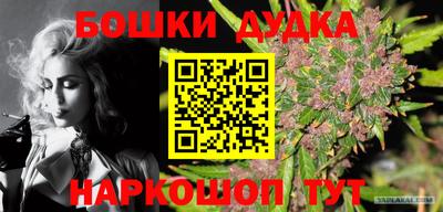 сатива Гагарин