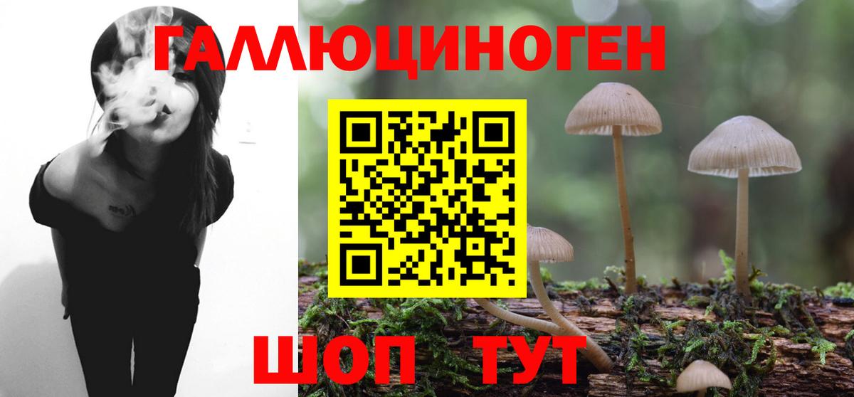 Псилоцибиновые грибы Psilocybine cubensis  Галлюциногенные грибы Psilocybe  Вход с VPN  Вольск 